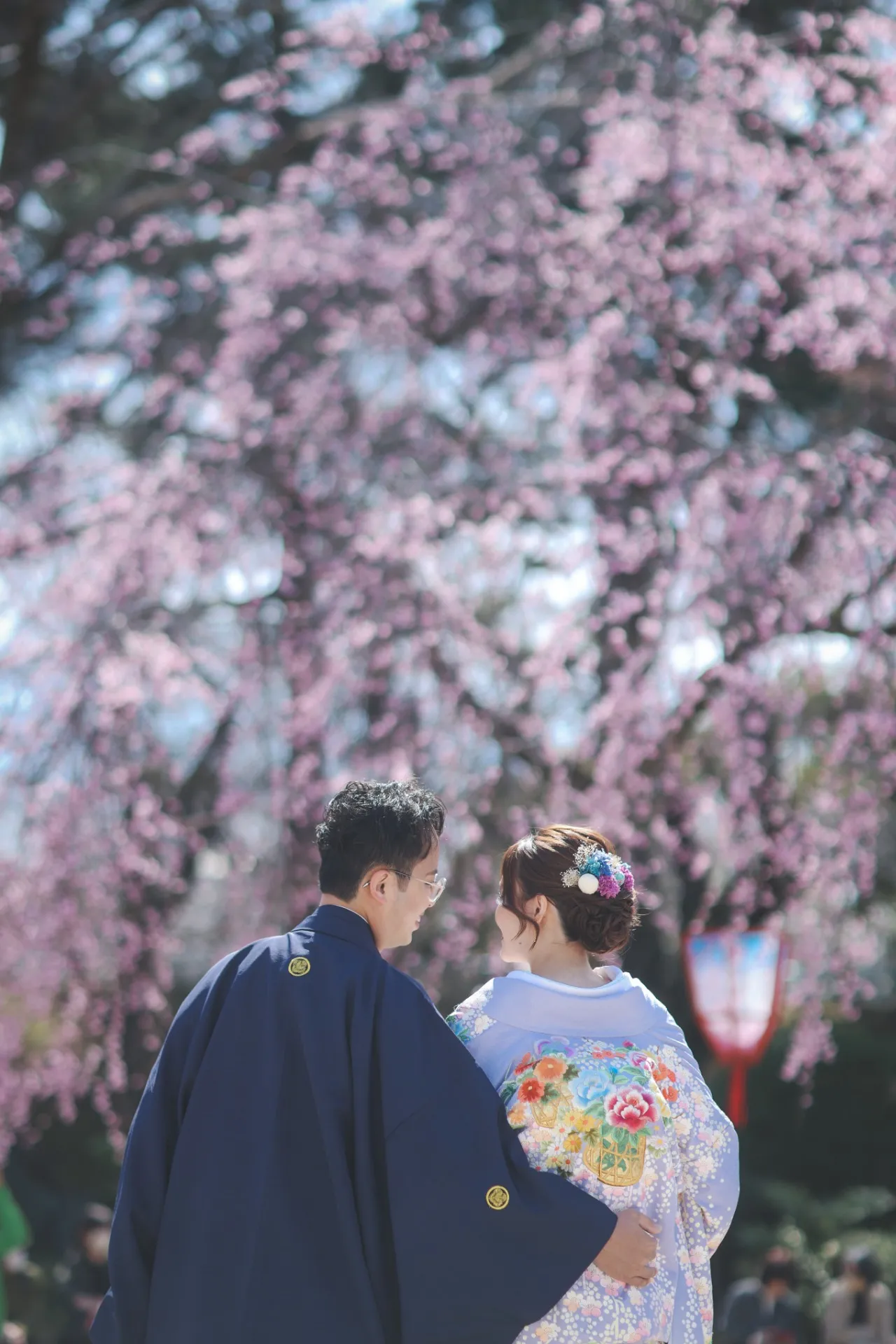 名古屋城桜撮影